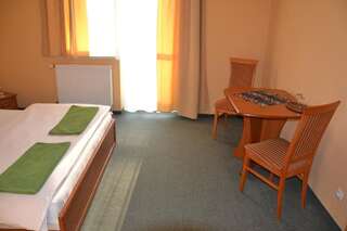 Мини-отель Hotelik Orlik Legnickie Pole Двухместный номер с 1 кроватью-3